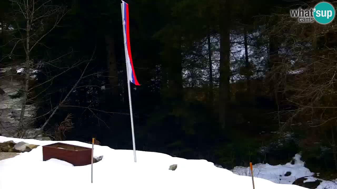 Webcam Lukanja – Water Village | Pohorje Houses