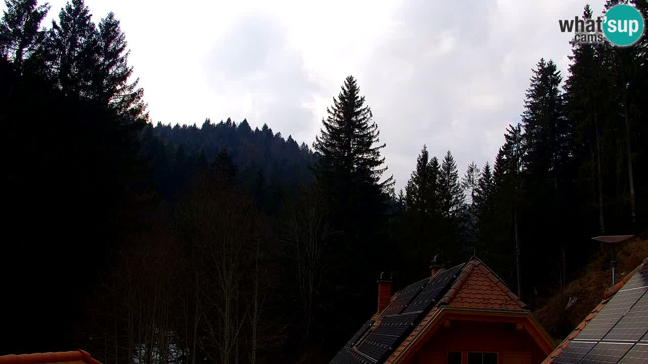 Webcam Lukanja – Pohorje houses a Water village