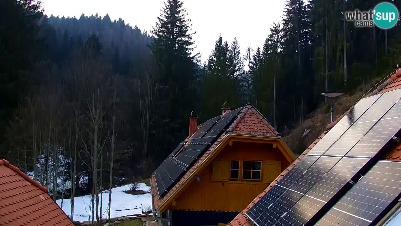 Webcam Lukanja – Pohorje houses a Water village