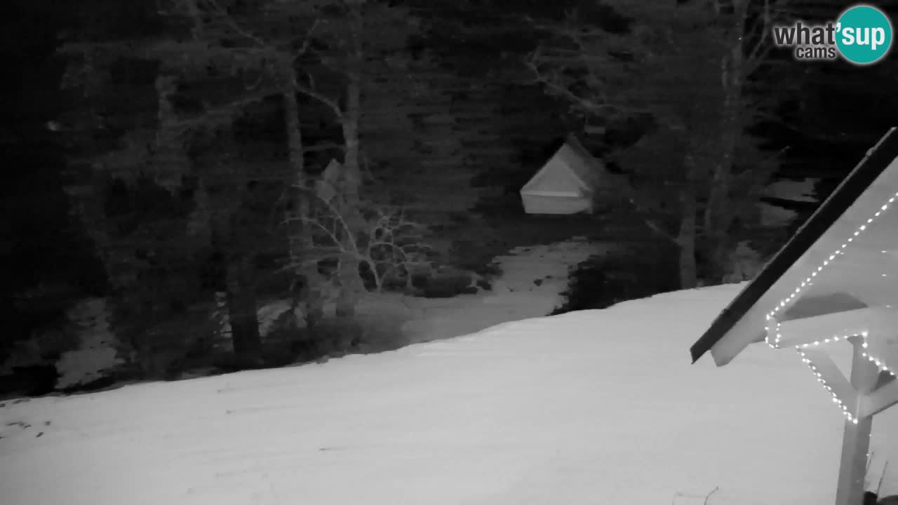 Web kamera Lukanja – Water Village | Pohorje Houses