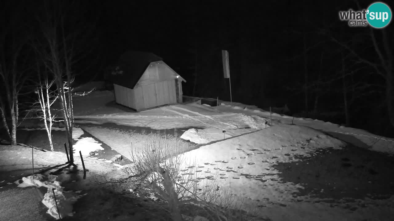 Web kamera Lukanja – Water Village | Pohorje Houses