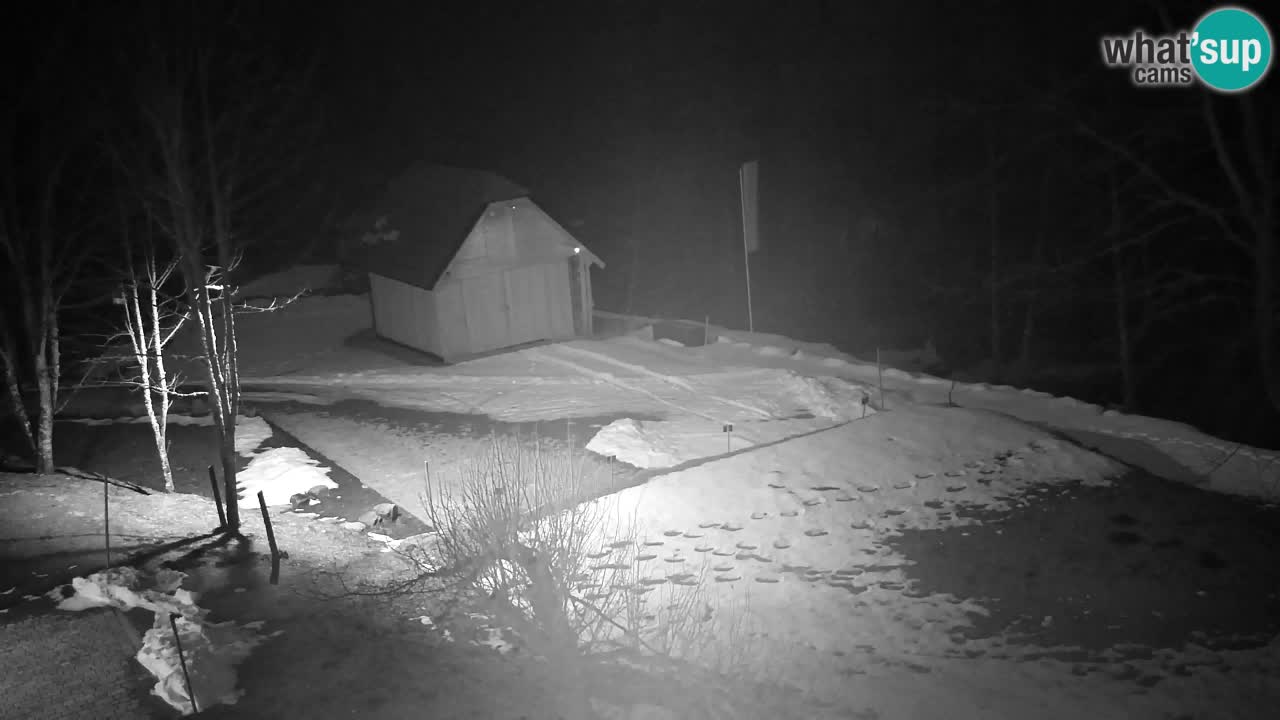 Webcam Lukanja – Water Village | Pohorje Houses