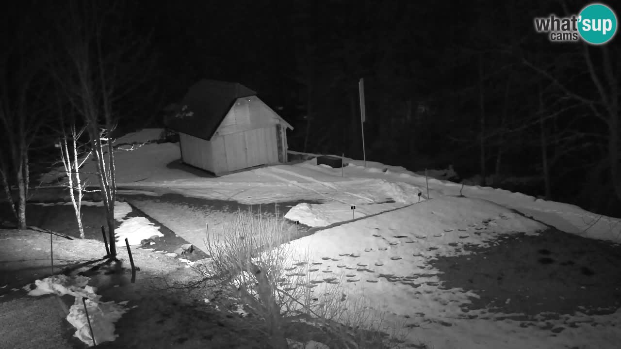 Webcam Lukanja – Water Village | Pohorje Houses