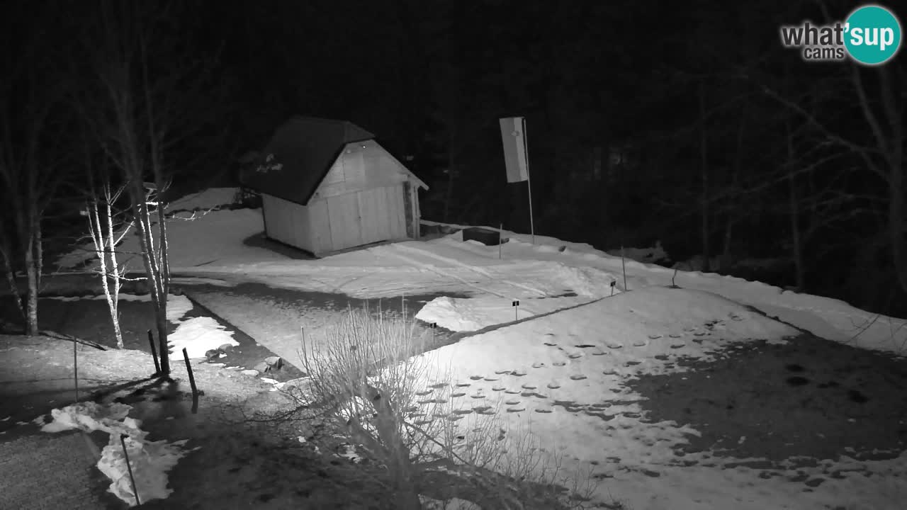 Webcam Lukanja – Water Village | Pohorje Houses