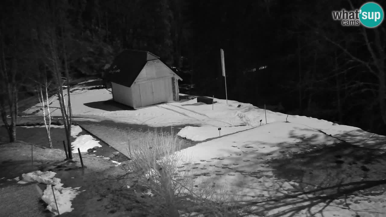 Webcam Lukanja – Pohorje houses a Water village