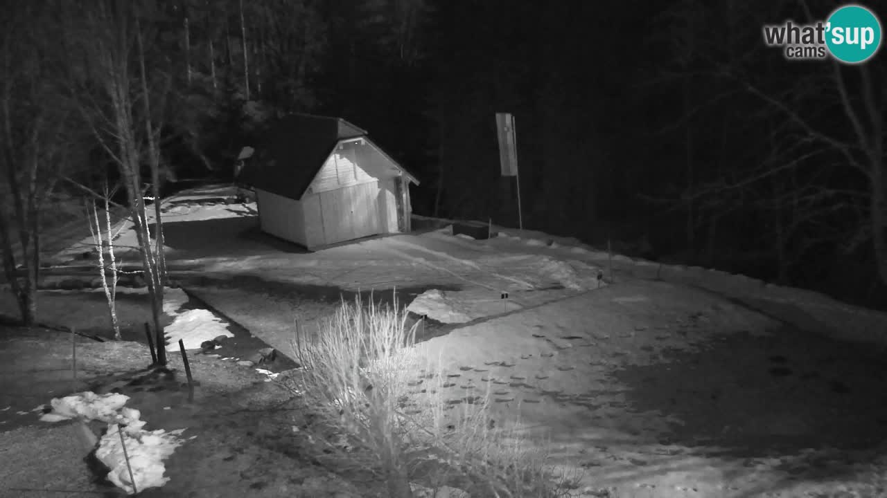 Webcam Lukanja – Pohorje houses a Water village