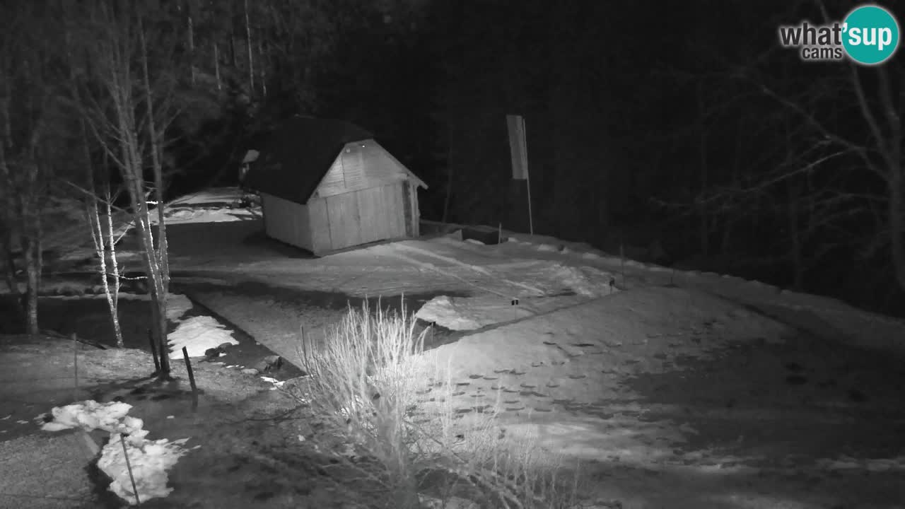 Webcam Lukanja – Pohorje houses a Water village