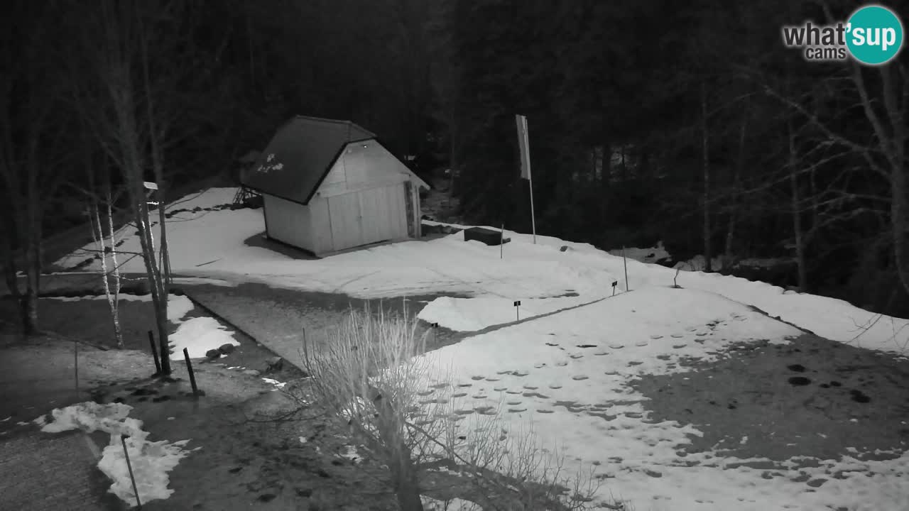 Web kamera Lukanja – Water Village | Pohorje Houses