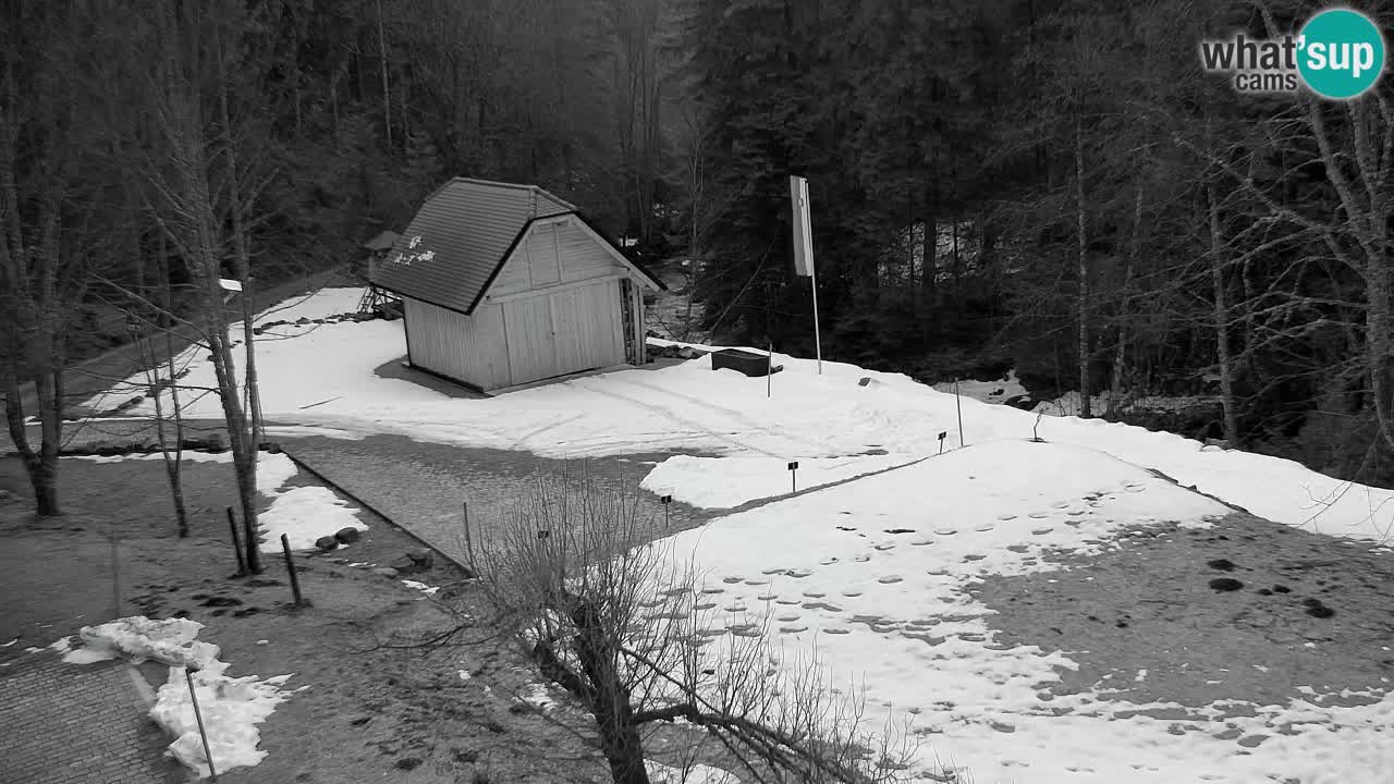Webcam Lukanja – Water Village | Pohorje Houses