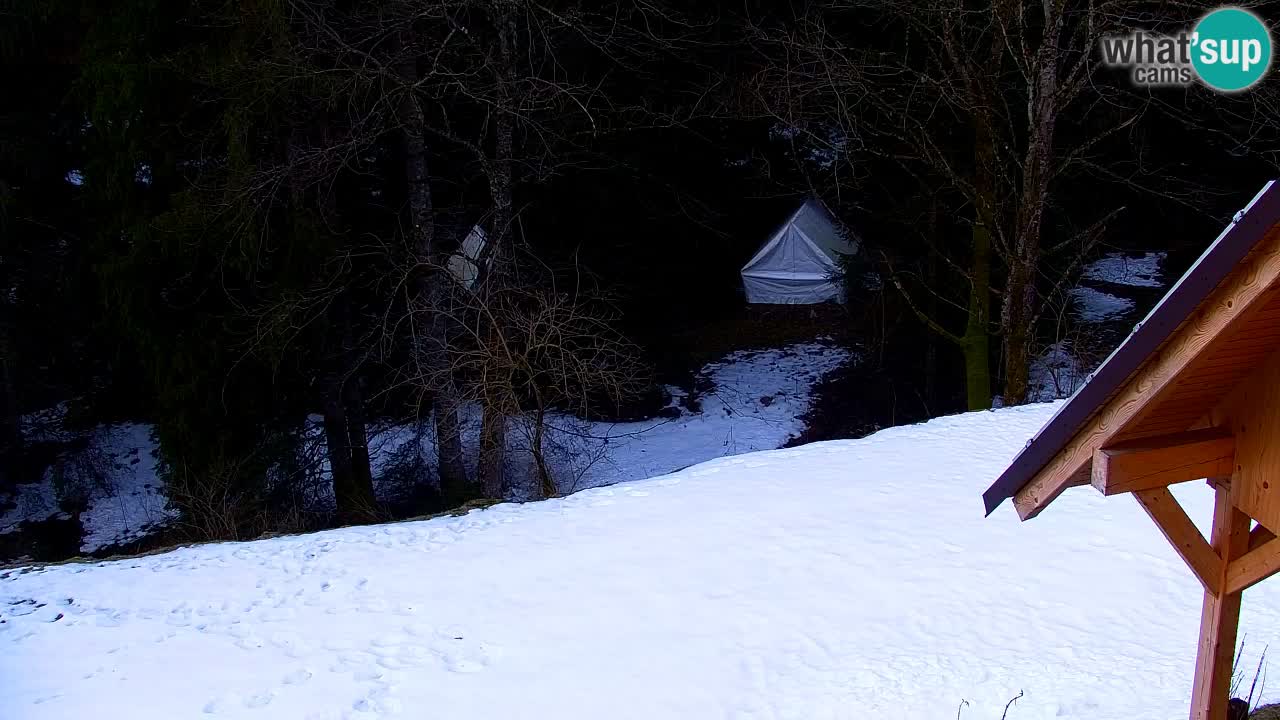 Web kamera Lukanja – Water Village | Pohorje Houses