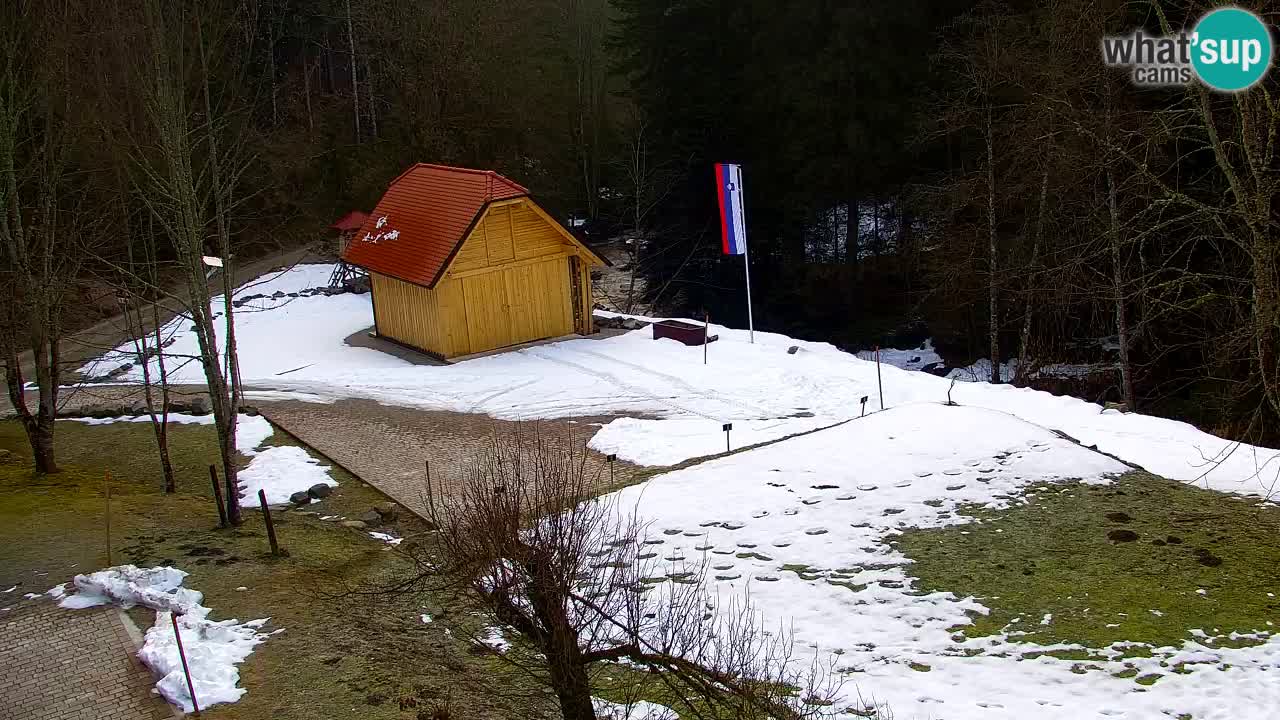 Web kamera Lukanja – Water Village | Pohorje Houses