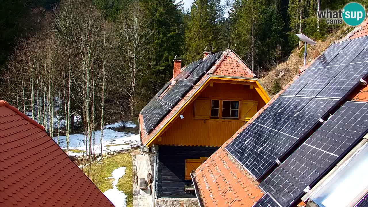 Webcam Lukanja – Pohorje houses a Water village