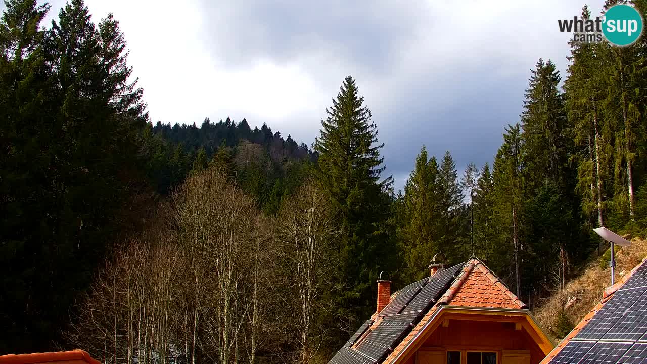 Webcam Lukanja – Water Village | Pohorje Houses