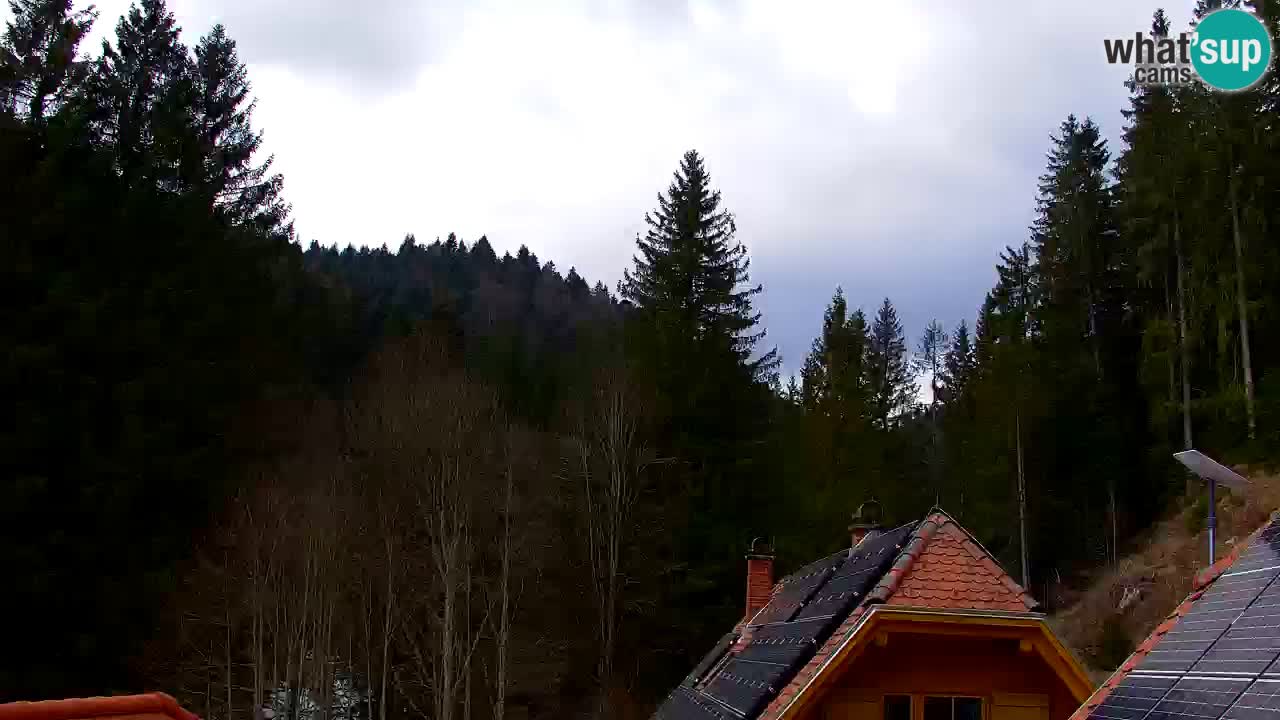 Webcam Lukanja – Pohorje houses a Water village