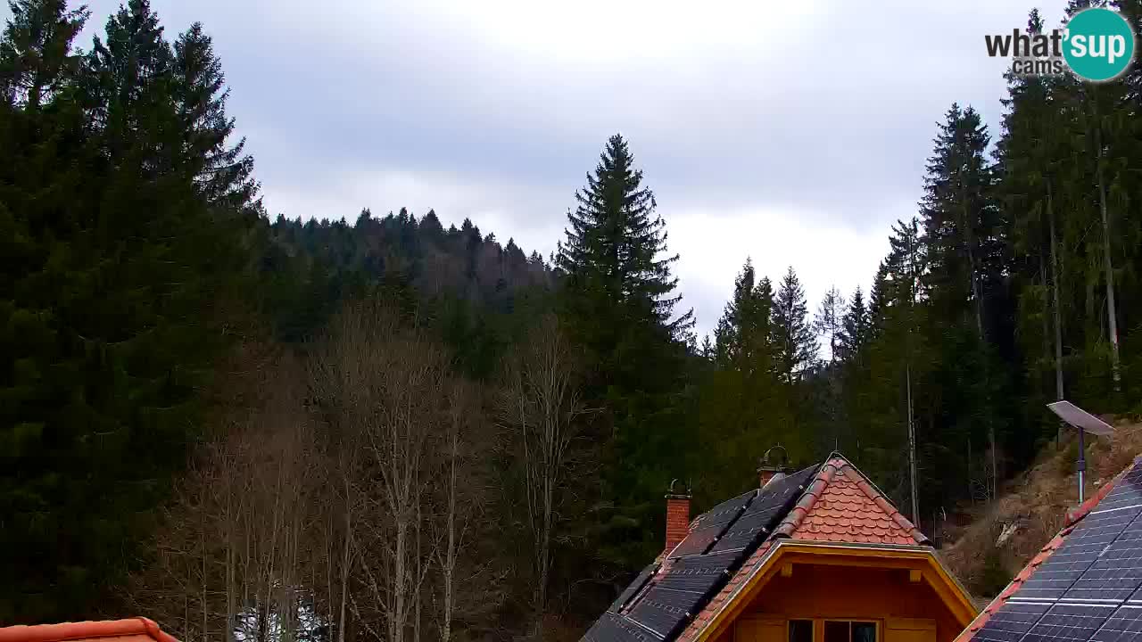 Spletna kamera Lukanja – Water Village | Pohorje Houses