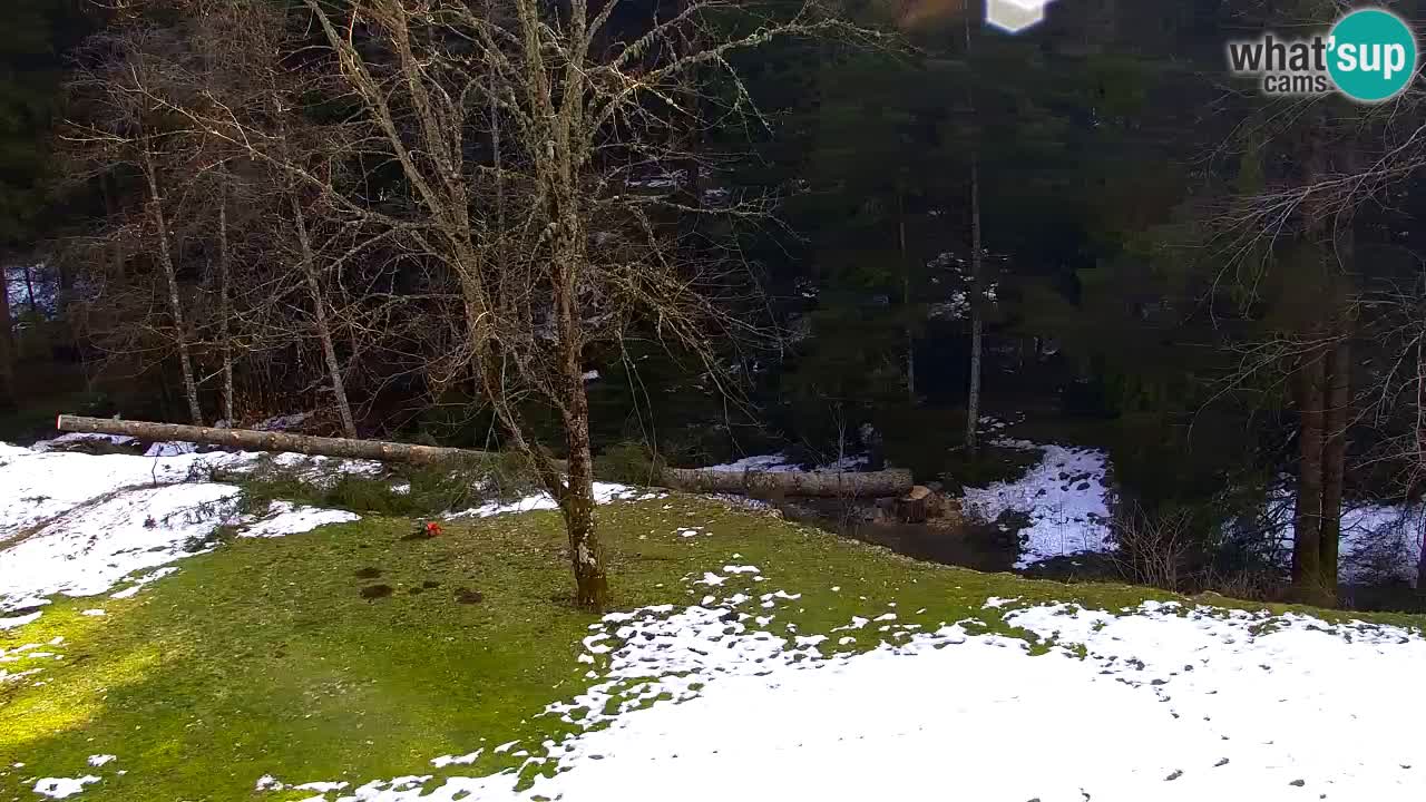 Webcam Lukanja – Water Village | Pohorje Houses