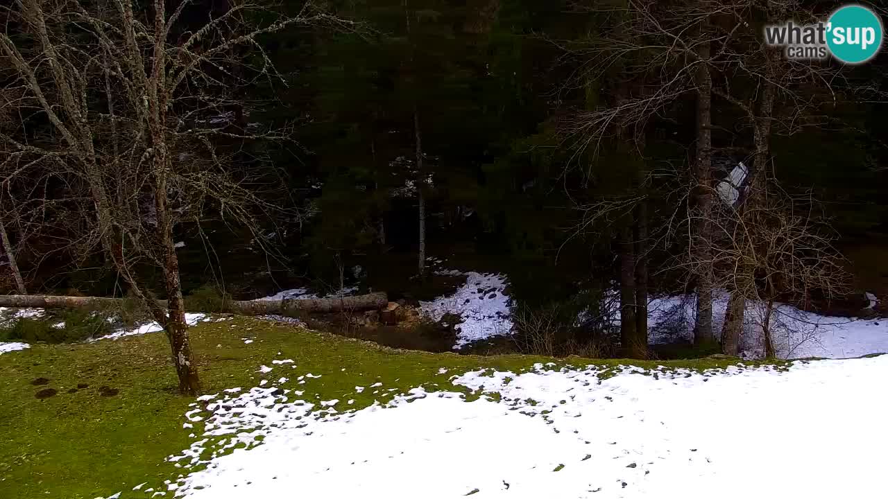 Webcam Lukanja – Water Village | Pohorje Houses