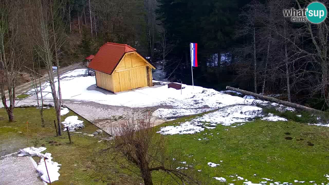 Webcam Lukanja – Pohorje houses a Water village