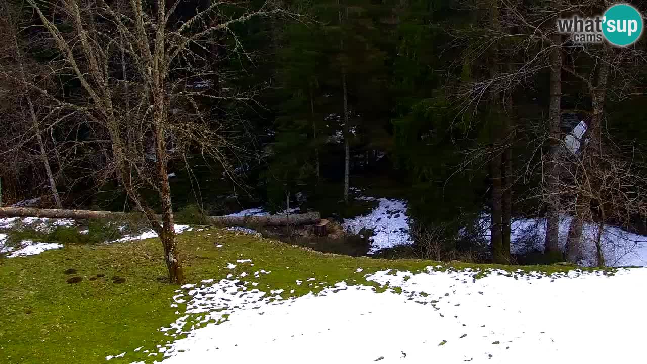 Webcam Lukanja – Water Village | Pohorje Houses