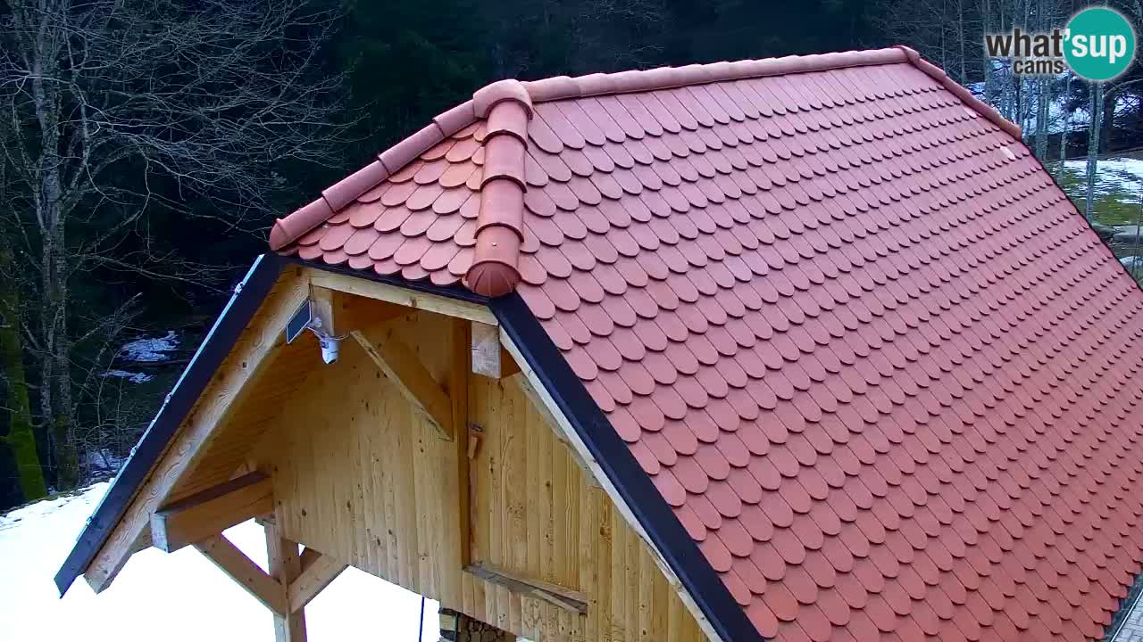 Webcam Lukanja – Water Village | Pohorje Houses