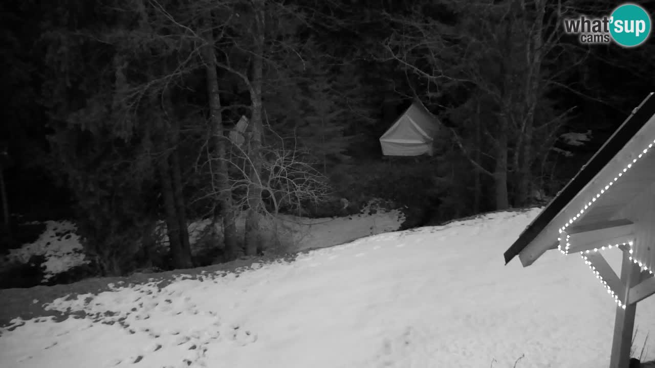 Webcam Lukanja – Pohorje houses a Water village