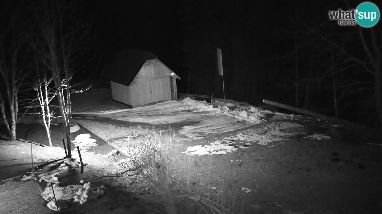 Webcam Lukanja – Water Village | Pohorje Houses