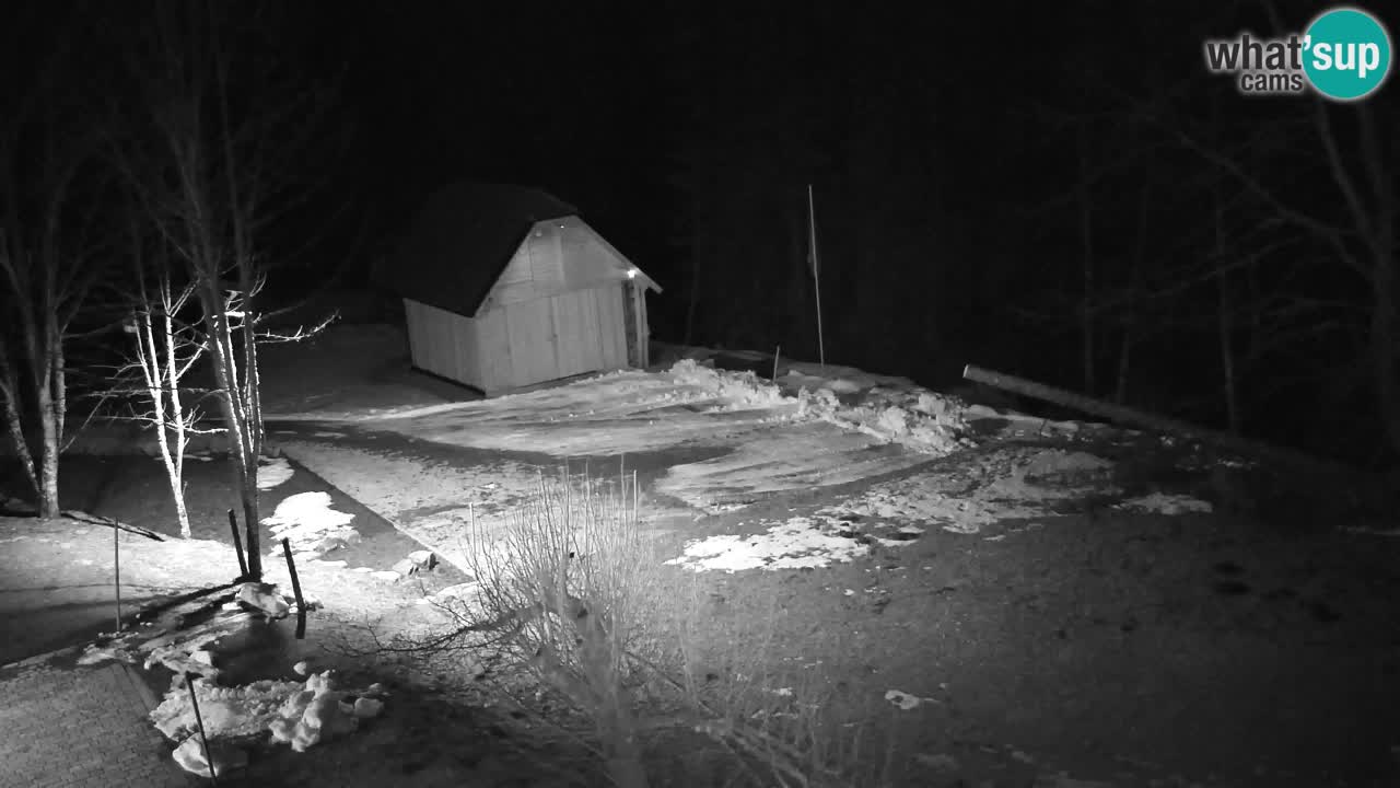 Webcam Lukanja – Water Village | Pohorje Houses