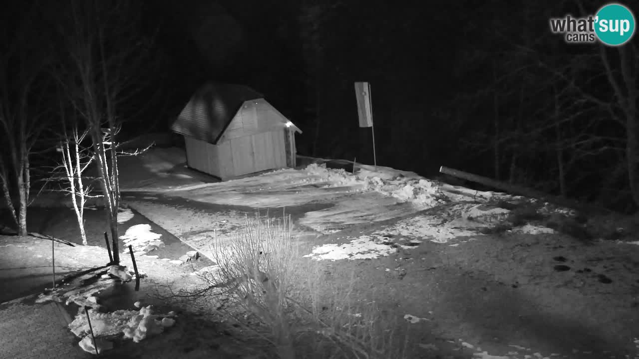 Webcam Lukanja – Water Village | Pohorje Houses