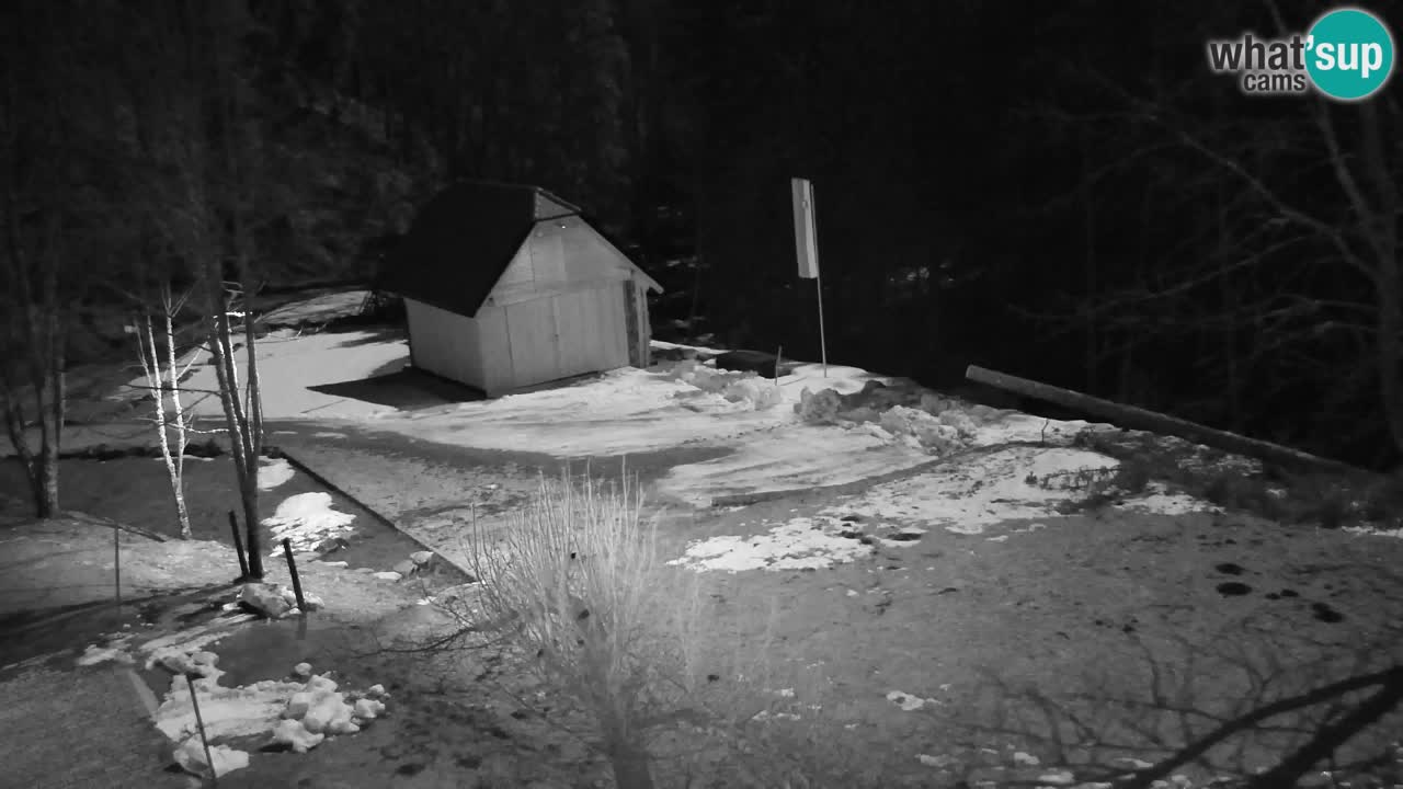 Webcam Lukanja – Pohorje houses a Water village