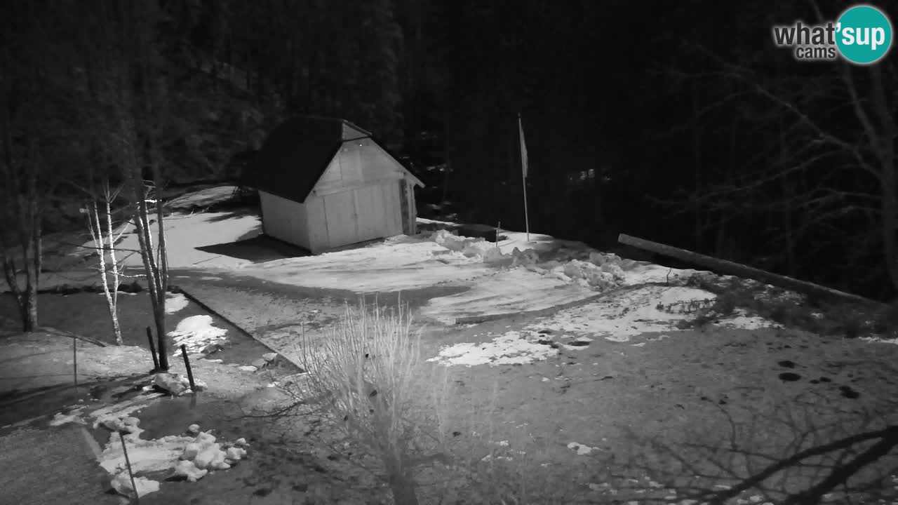 Webcam Lukanja – Water Village | Pohorje Houses