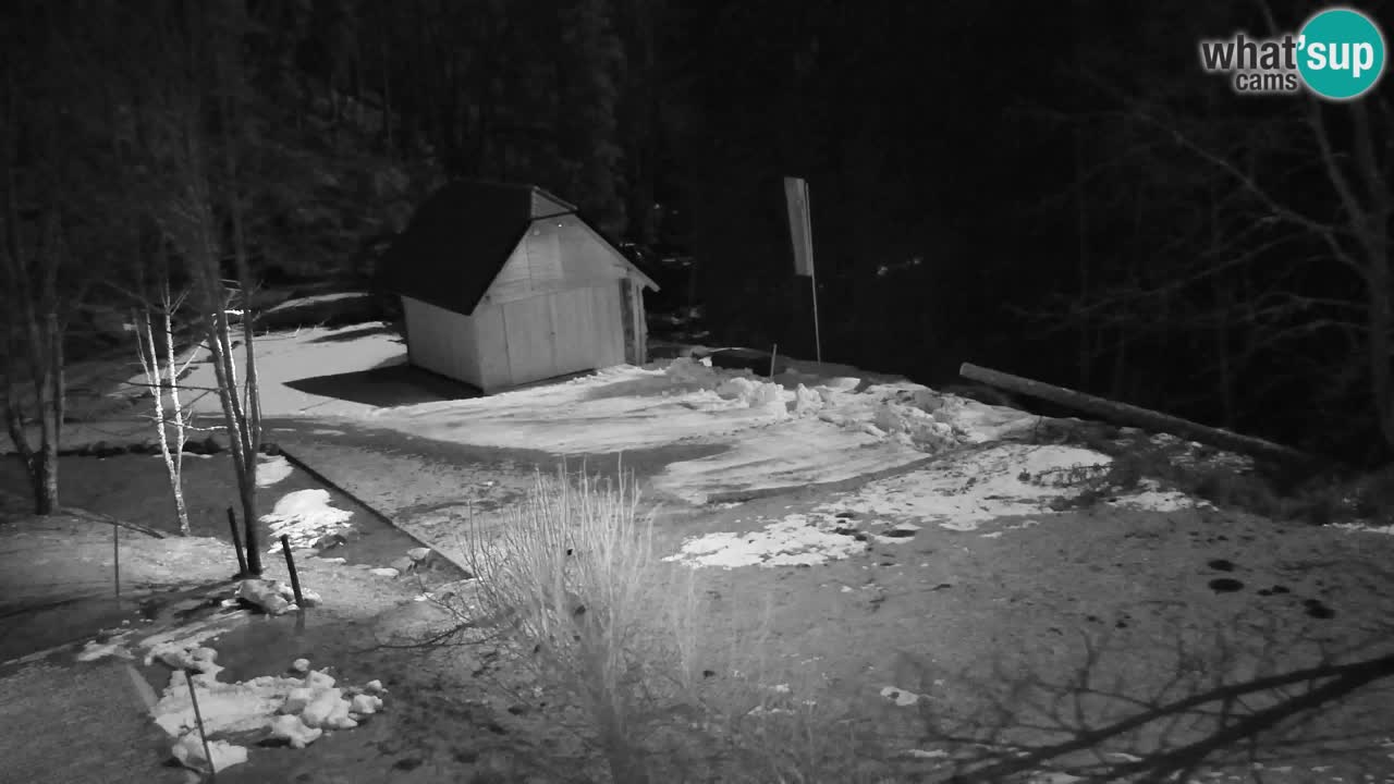 Webcam Lukanja – Water Village | Pohorje Houses