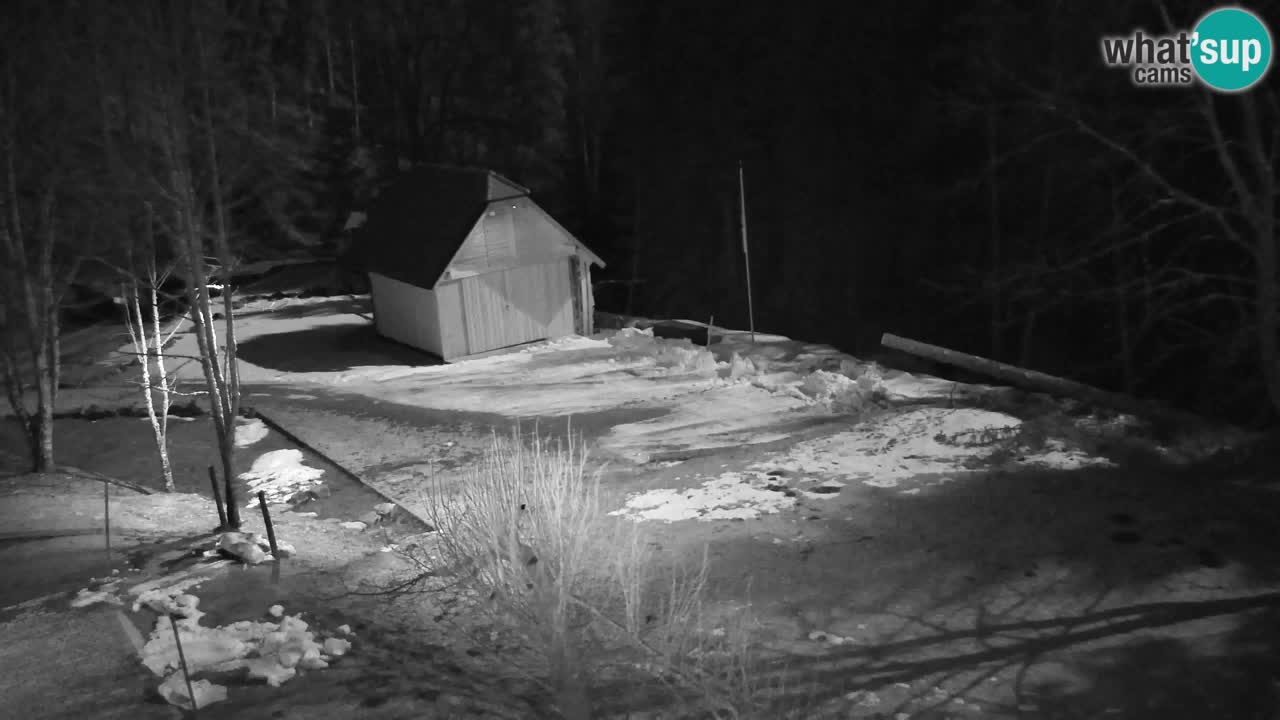 Webcam Lukanja – Pohorje houses a Water village