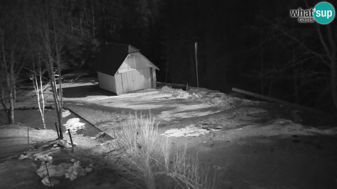 Webcam Lukanja – Water Village | Pohorje Houses