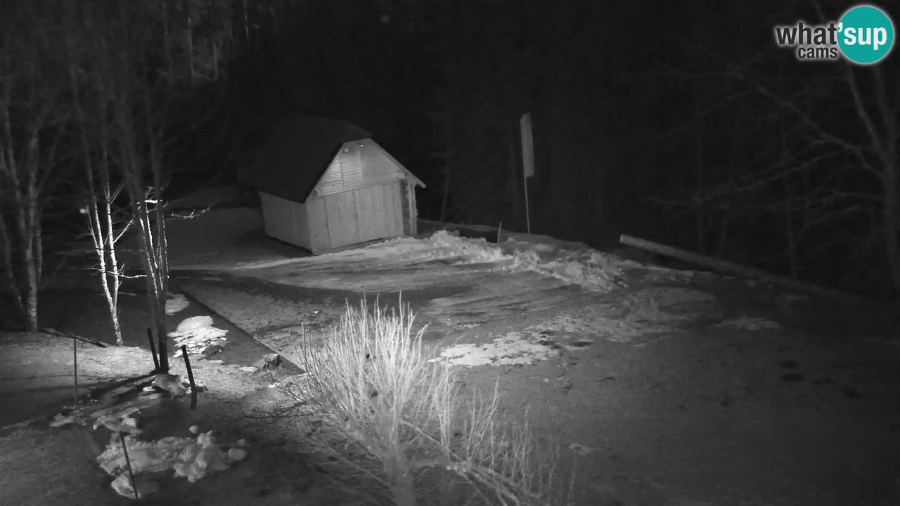 Webcam Lukanja – Water Village | Pohorje Houses