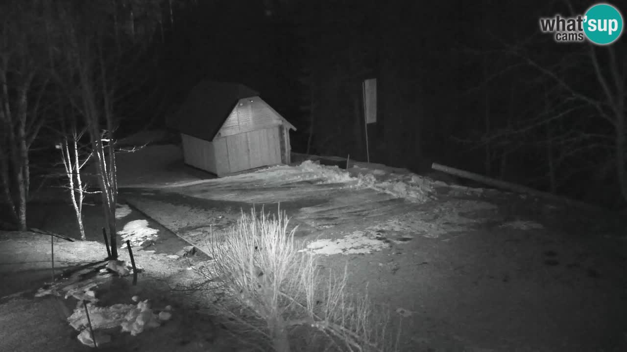 Webcam Lukanja – Pohorje houses a Water village