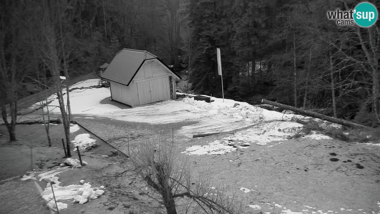 Webcam Lukanja – Pohorje houses a Water village