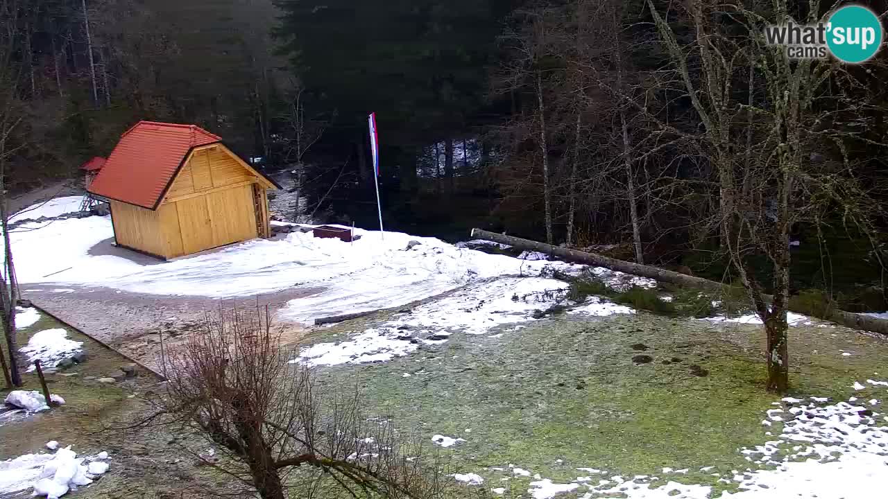 Spletna kamera Lukanja – Water Village | Pohorje Houses