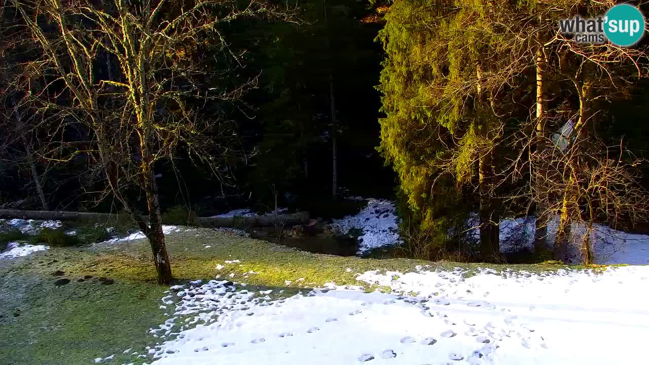 Webcam Lukanja – Water Village | Pohorje Houses