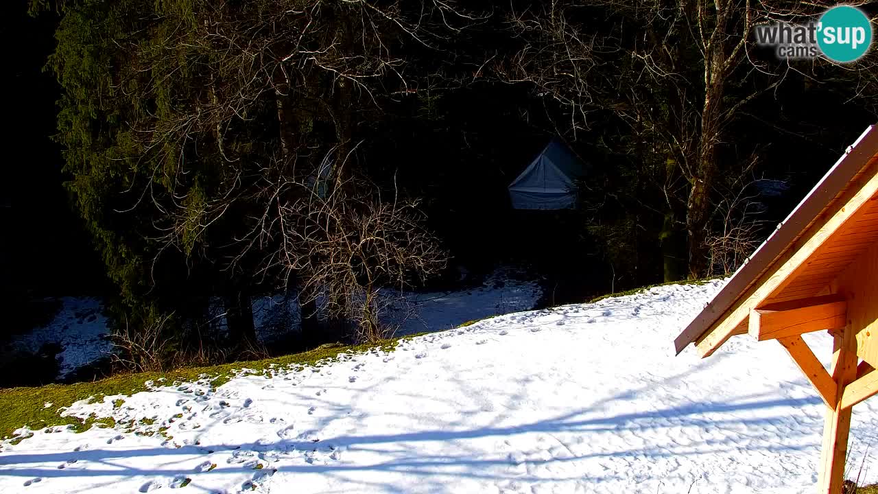 Spletna kamera Lukanja – Water Village | Pohorje Houses