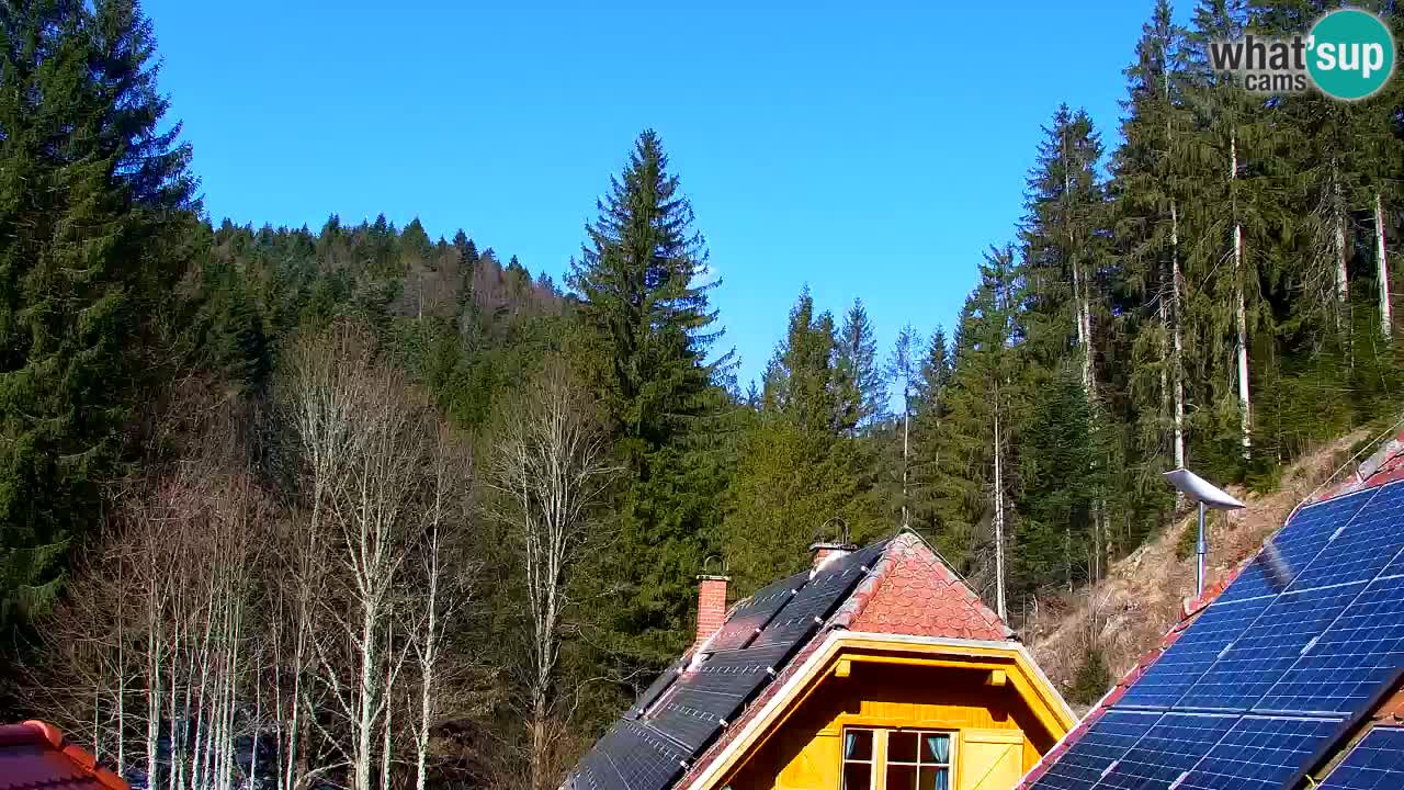 Spletna kamera Lukanja – Water Village | Pohorje Houses