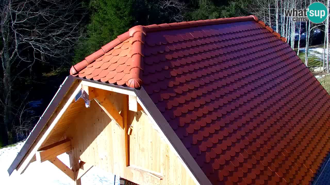 Webcam Lukanja – Water Village | Pohorje Houses