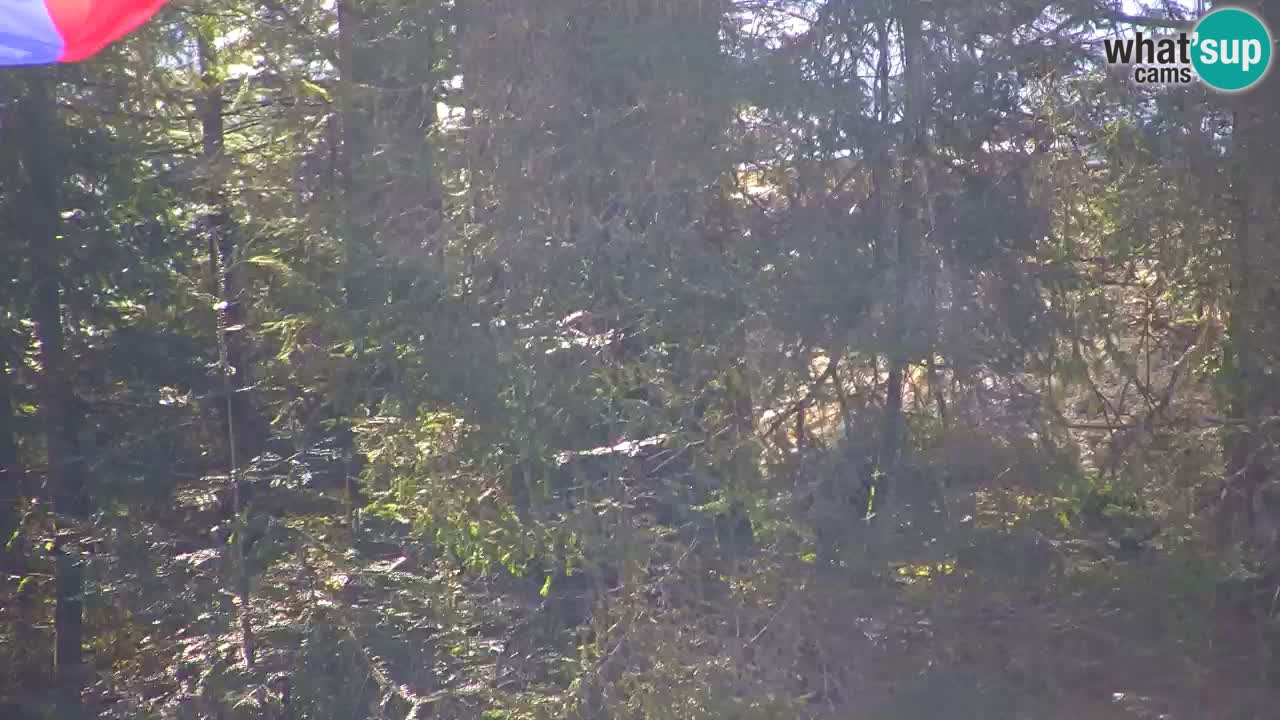 Webcam Lukanja – Pohorje houses a Water village