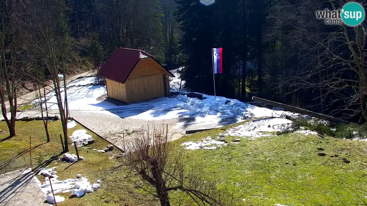 Webcam Lukanja – Pohorje houses a Water village