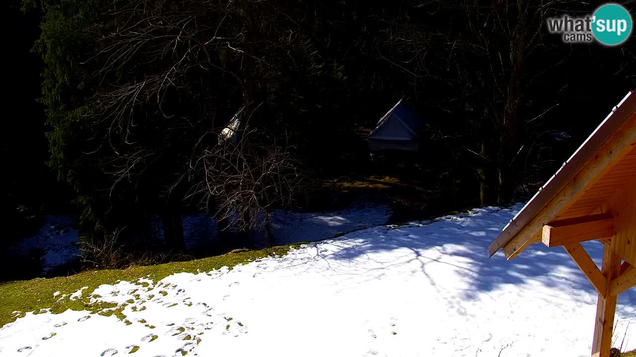 Web kamera Lukanja – Water Village | Pohorje Houses