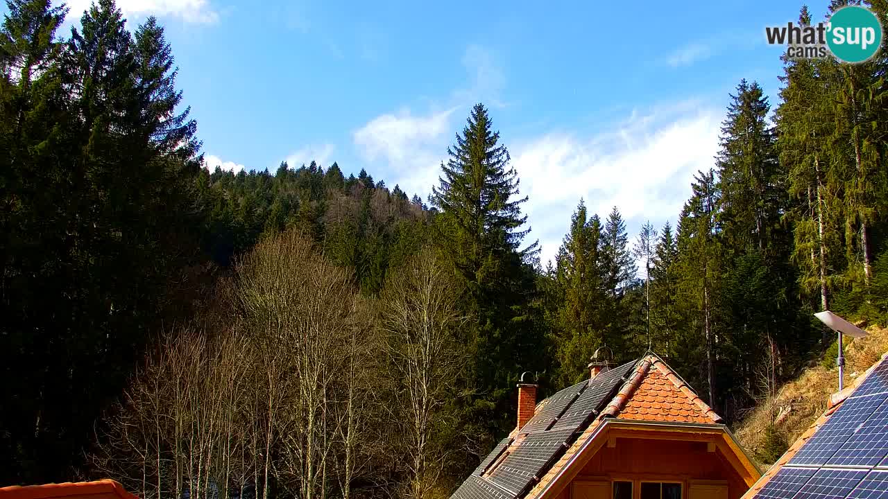 Webcam Lukanja – Pohorje houses a Water village