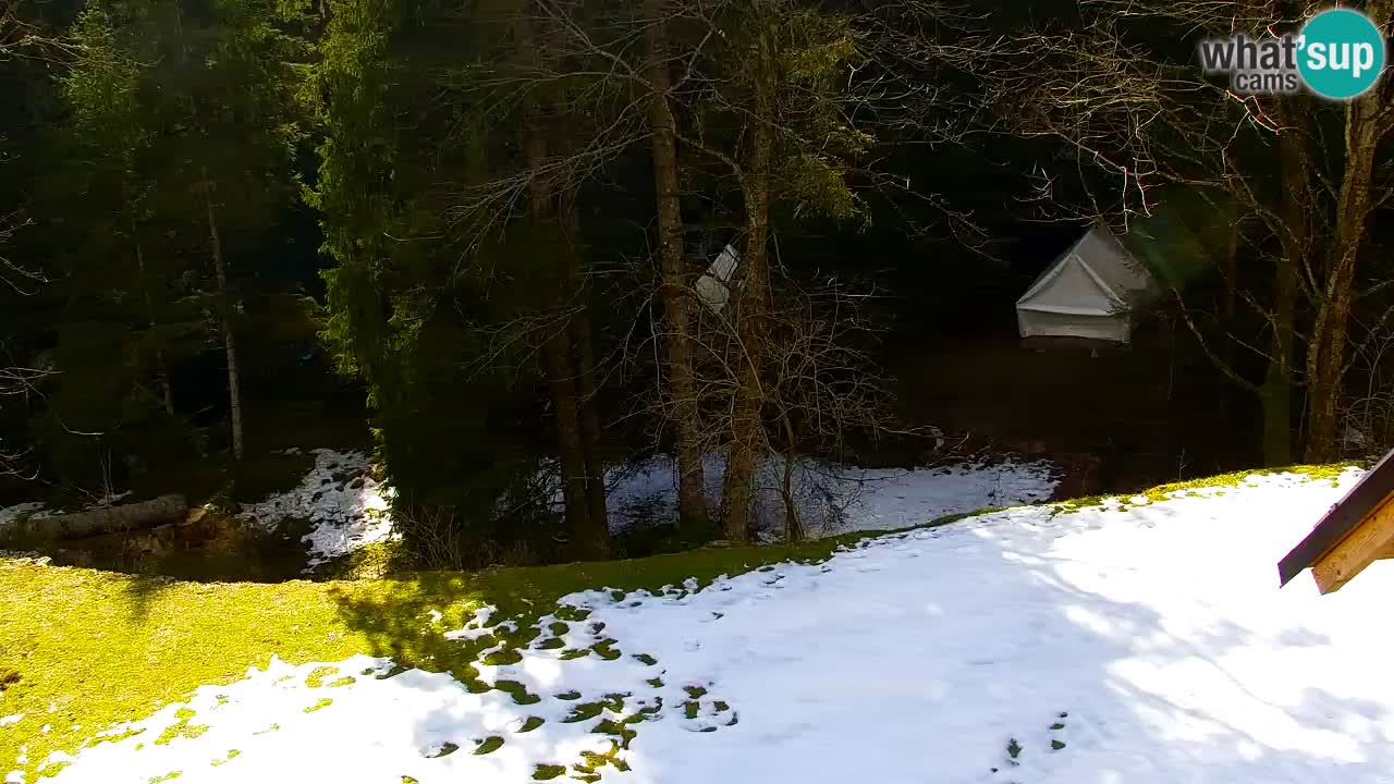 Webcam Lukanja – Water Village | Pohorje Houses