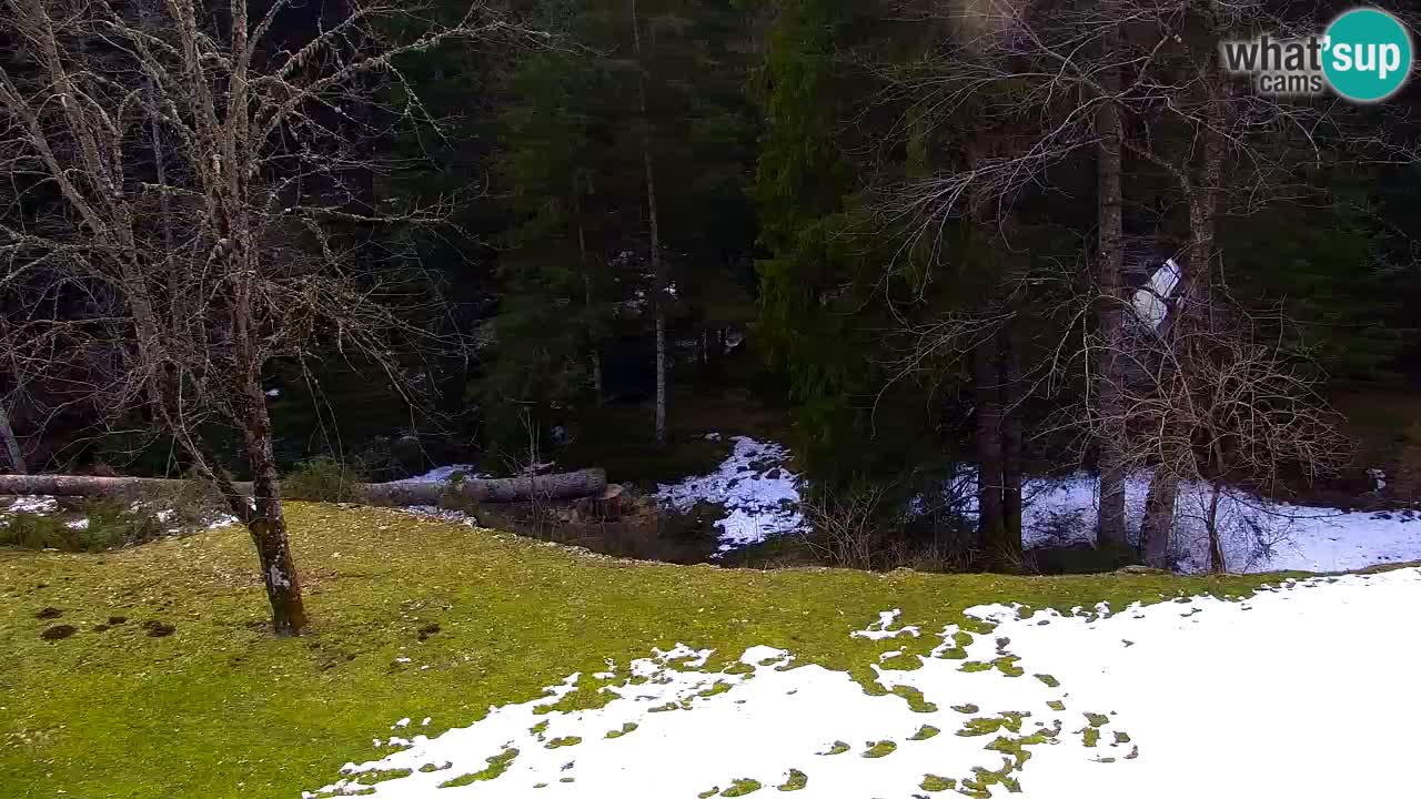 Webcam Lukanja – Water Village | Pohorje Houses