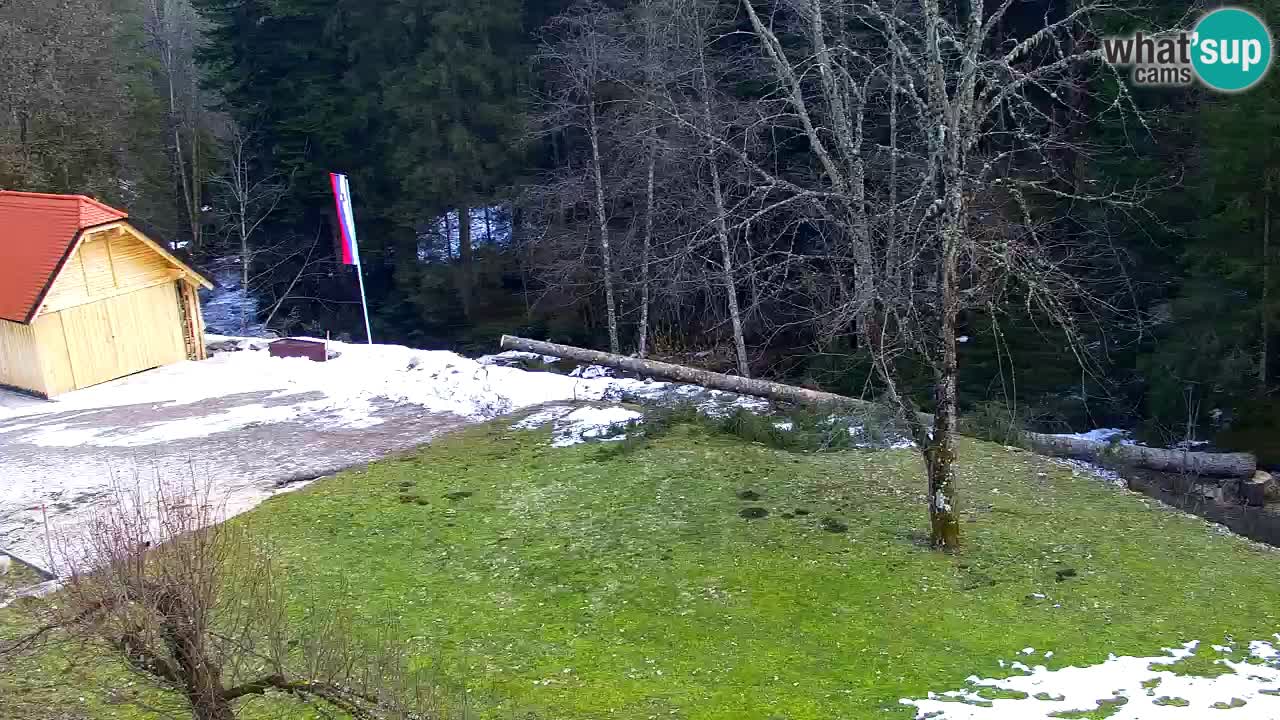 Webcam Lukanja – Water Village | Pohorje Houses