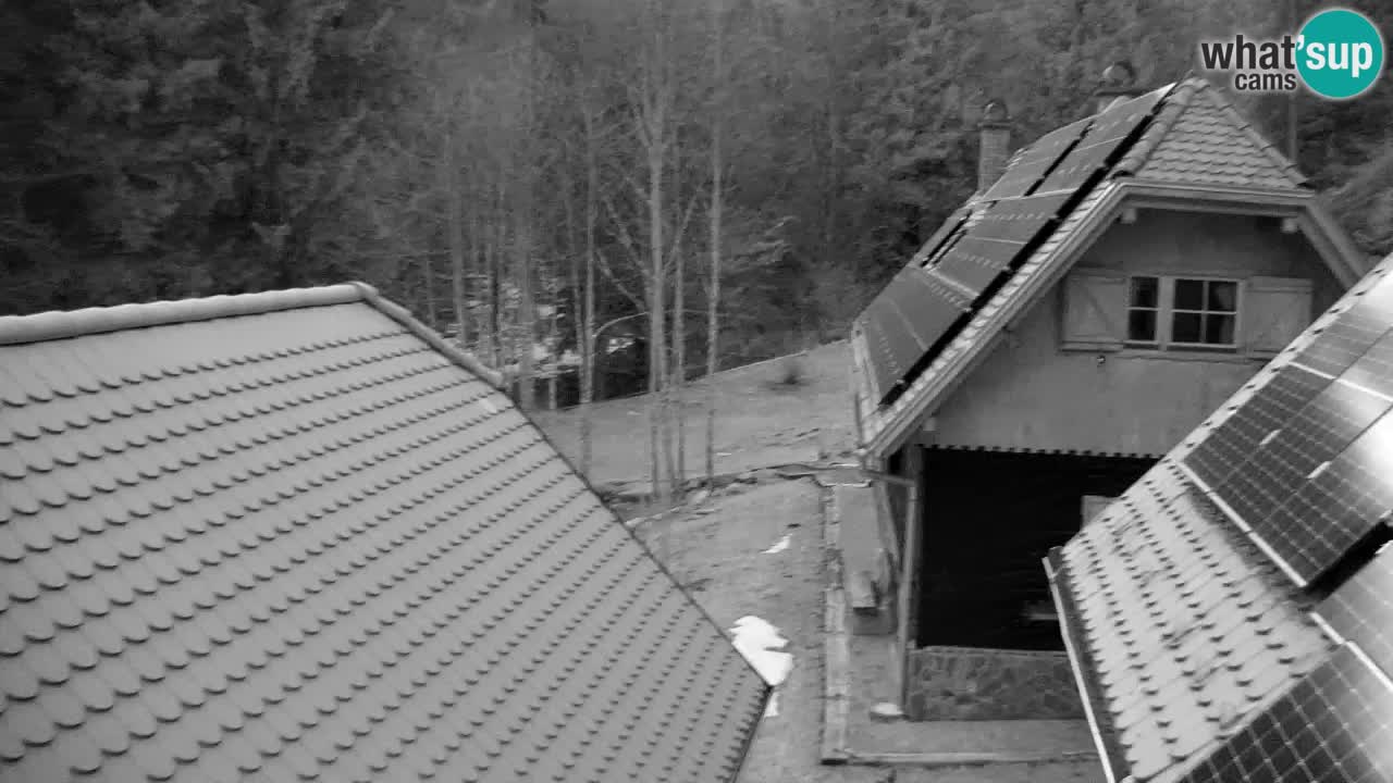 Webcam Lukanja – Water Village | Pohorje Houses