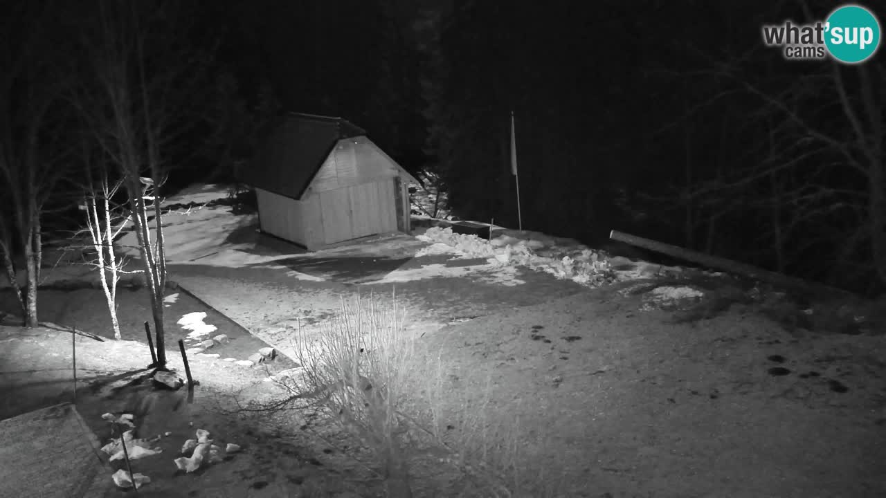 Webcam Lukanja – Pohorje houses a Water village